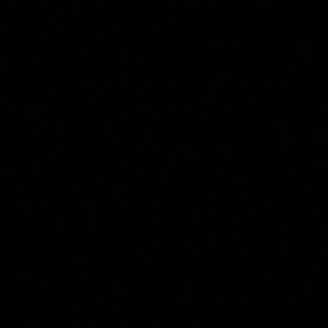 Meet your Posher, Mia